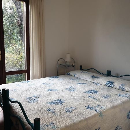 Villetta Porto Corallo 빌라푸주 외부 사진